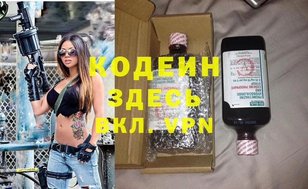 индика Корсаков