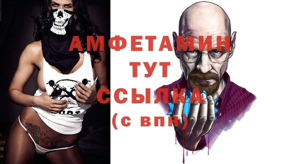 индика Корсаков