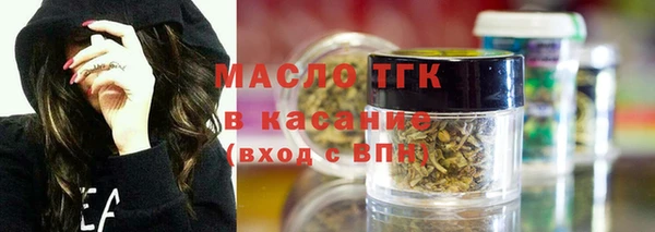 индика Корсаков