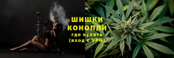 трава Кодинск