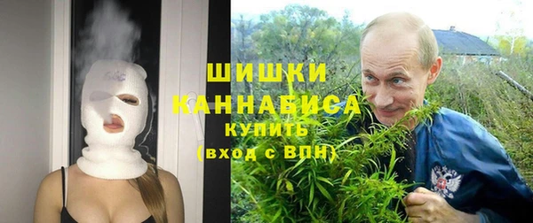 индика Корсаков