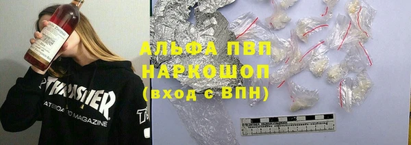 индика Корсаков